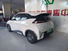 BYD Seagull 305km Vitality Edition - ფოტო 15