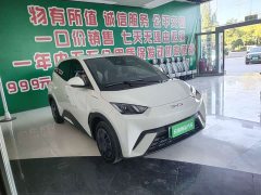 BYD Seagull 305km Vitality Edition - ფოტო 3