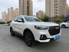 Haval H6 National Trend Edition 1.5T Automatic Urban Version - ფოტო 3