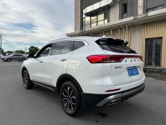 Haval H6 National Trend Edition 1.5T Automatic Urban Version - ფოტო 6