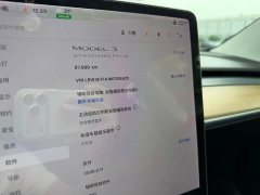 Tesla Model 3 Standard Range RWD Upgrade - ფოტო 15