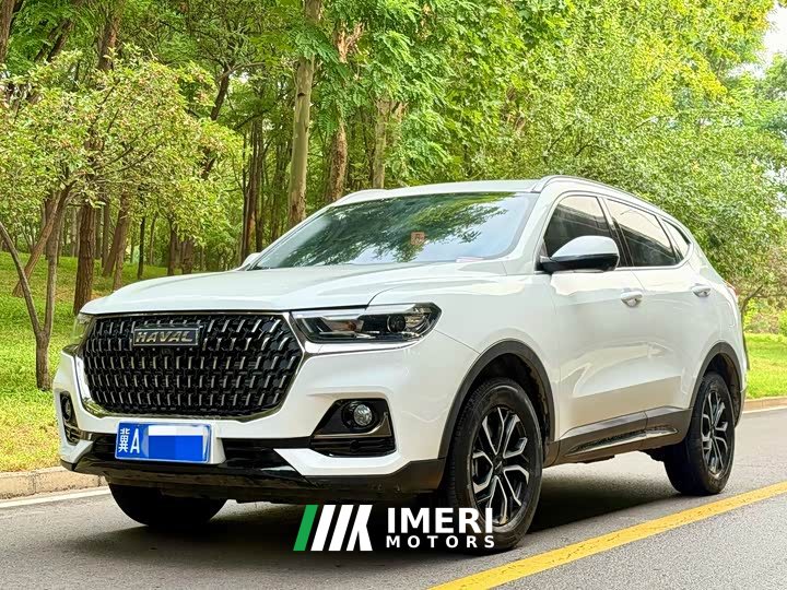 Haval H6 2023 National Trend Edition 1.5T Automatic Urban Version - ავტომობილი ჩინეთიდან