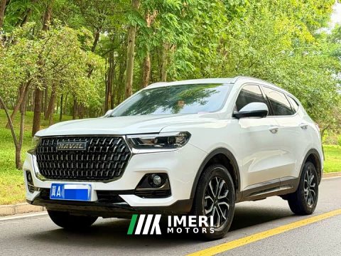 2024 Haval H6 2023 National Trend Edition 1.5T Automatic Urban Version - ავტომობილი ჩინეთიდან