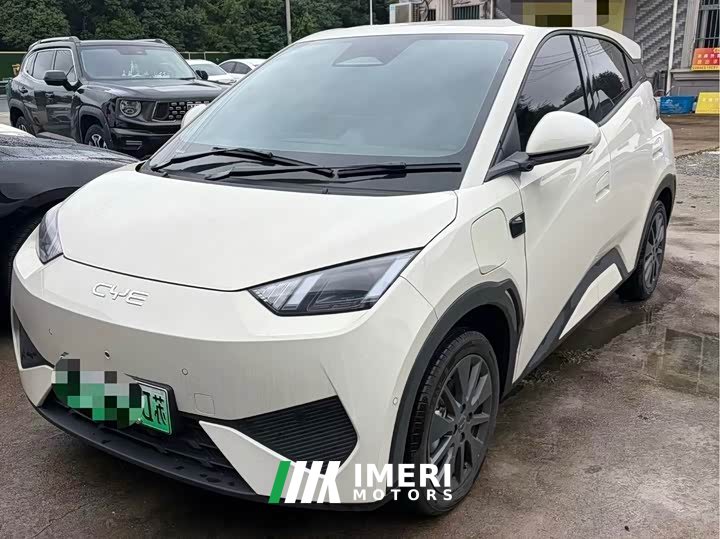 BYD Seagull 305km Freedom Edition - ავტომობილი ჩინეთიდან
