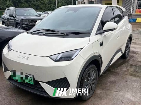 2026 BYD Seagull 305km Freedom Edition - ავტომობილი ჩინეთიდან