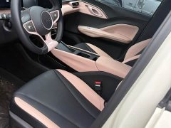 BYD Seagull 305km Freedom Edition - ფოტო 3