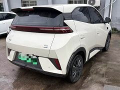 BYD Seagull 305km Freedom Edition - ფოტო 5