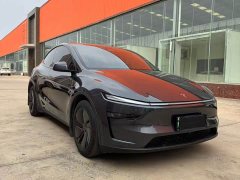 Tesla Model Y Rear-Wheel Drive Launch Edition - ფოტო 3