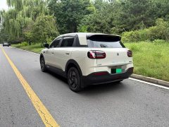 Chery QQ3 EV 420 Edition - ფოტო 4