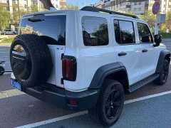 Tank 300 Off-Road Edition 2.0T Conqueror - ფოტო 6