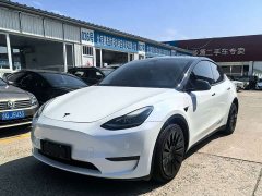 Tesla Model Y Long Range All-Wheel Drive - ფოტო 1