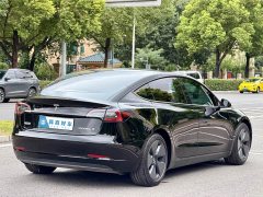 Tesla Model 3 Facelift Standard Range RWD Upgrade 3D1 - ფოტო 4