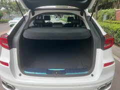Honda Avancier 240TURBO 2WDDeluxe Edition - ფოტო 17