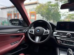 BMW 5 Series Facelift 530Li M Sport Luxury - ფოტო 10