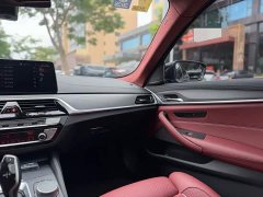 BMW 5 Series Facelift 530Li M Sport Luxury - ფოტო 12