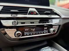 BMW 5 Series Facelift 530Li M Sport Luxury - ფოტო 13