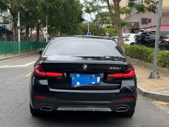 BMW 5 Series Facelift 530Li M Sport Luxury - ფოტო 16