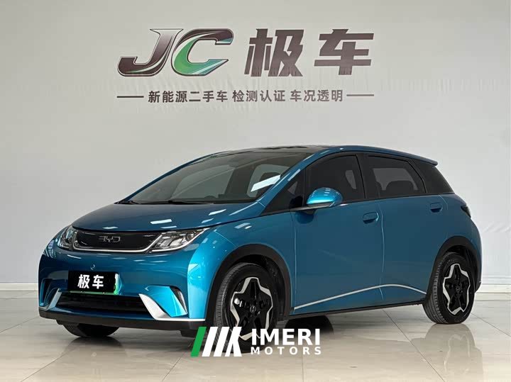 BYD Dolphin 405km Fashion Edition - ავტომობილი ჩინეთიდან