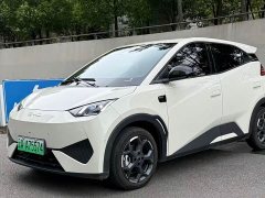 BYD Seagull Smart Driving Edition 305km Freedom Edition - ფოტო 1