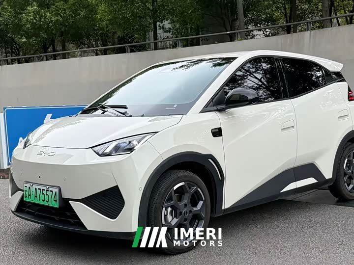 BYD Seagull Smart Driving Edition 305km Freedom Edition
