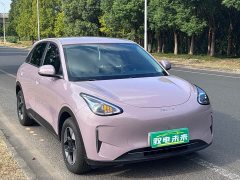 Geely Xing Yuan 310km Dream Edition - ფოტო 2