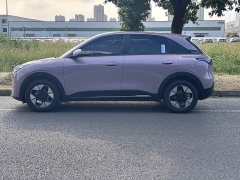 Geely Xing Yuan 310km Dream Edition - ფოტო 5