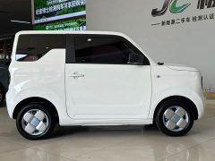 Geely Panda Mini 200km Endurance Edition - ფოტო 11
