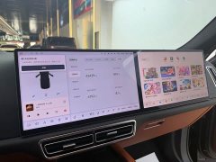 Li Auto L7 MAX - ფოტო 9