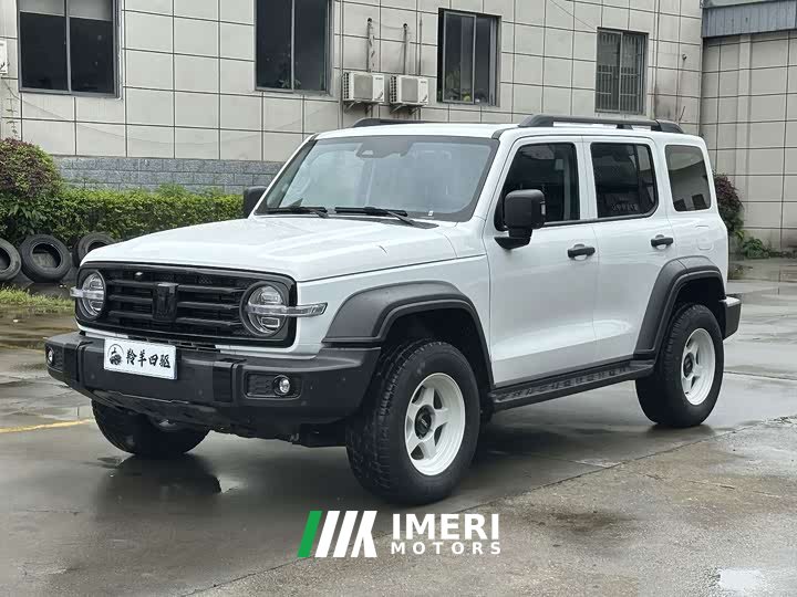 Tank 300 2021 Off-Road Edition 2.0T Conqueror - ავტომობილი ჩინეთიდან