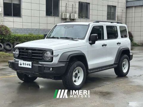 2022 Tank 300 2021 Off-Road Edition 2.0T Conqueror - ავტომობილი ჩინეთიდან