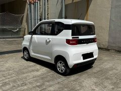 Wuling Hongguang MINIEV 2020 Zizai Trim Ternary Lithium - ფოტო 6