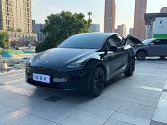 Tesla Model Y 2023 Rear-Wheel Drive - ფოტო 1