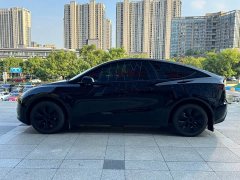 Tesla Model Y 2023 Rear-Wheel Drive - ფოტო 2