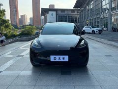 Tesla Model Y 2023 Rear-Wheel Drive - ფოტო 3