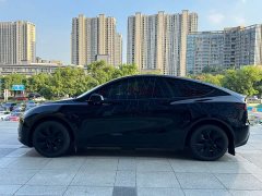 Tesla Model Y 2023 Rear-Wheel Drive - ფოტო 4