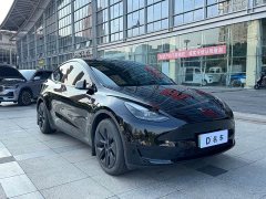 Tesla Model Y 2023 Rear-Wheel Drive - ფოტო 5