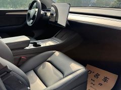 Tesla Model 3 Rear-Wheel Drive - ფოტო 3