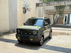 Geely Panda 210km Panda Knight - ფოტო 1