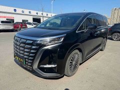 Denza BYD Denza D9 DM-i 980 Four-Wheel Drive Premium - ფოტო 1