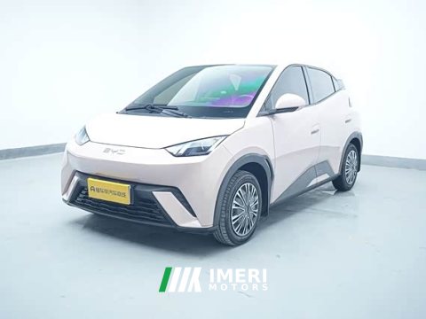 2024 BYD Seagull 2025 305km Vitality Edition - ავტომობილი ჩინეთიდან