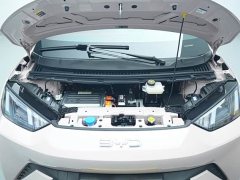 BYD Seagull 2025 305km Vitality Edition - ფოტო 14