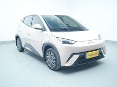 BYD Seagull 2025 305km Vitality Edition - ფოტო 5