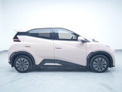 BYD Seagull 2025 305km Vitality Edition - ფოტო 8