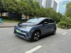 BYD Dolphin 401km Knight Edition - ფოტო 1
