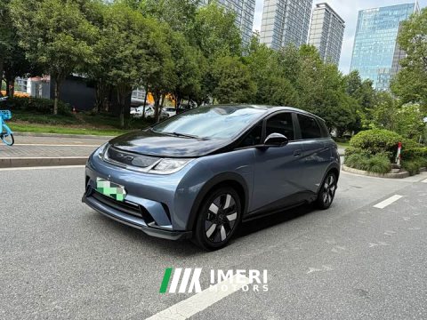 2023 BYD Dolphin 401km Knight Edition - ავტომობილი ჩინეთიდან