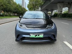 BYD Dolphin 401km Knight Edition - ფოტო 2