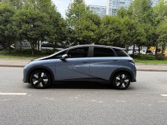 BYD Dolphin 401km Knight Edition - ფოტო 3