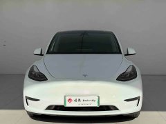 Tesla Model Y Standard Range RWD - ფოტო 1