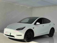 Tesla Model Y Standard Range RWD - ფოტო 3