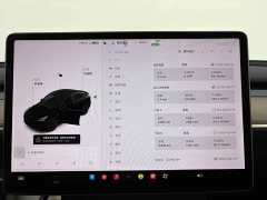 Tesla Model Y Standard Range RWD - ფოტო 7